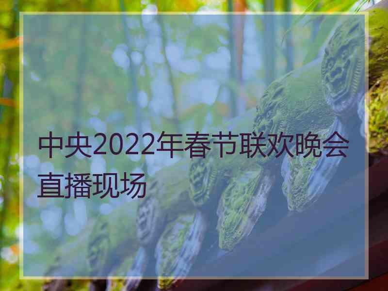 中央2022年春节联欢晚会直播现场