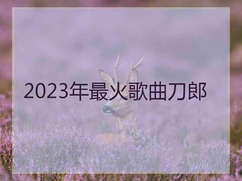 2023年最火歌曲刀郎