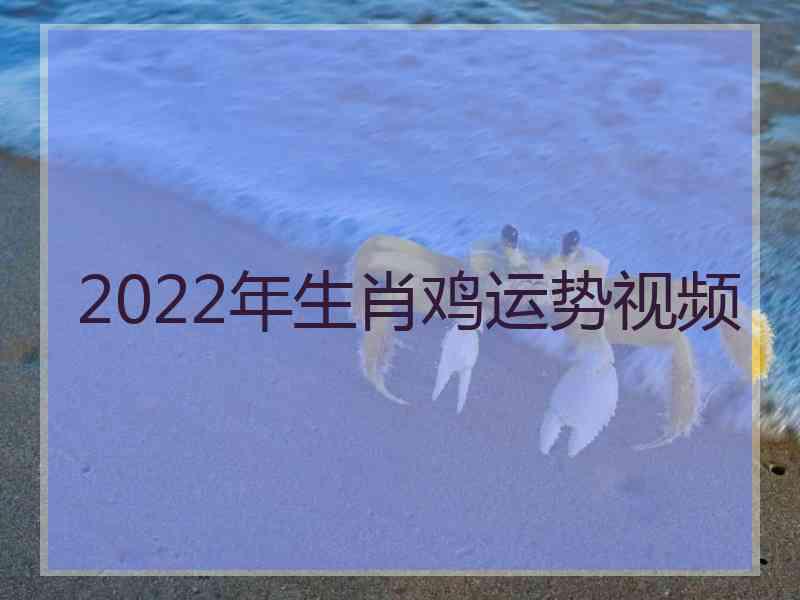 2022年生肖鸡运势视频