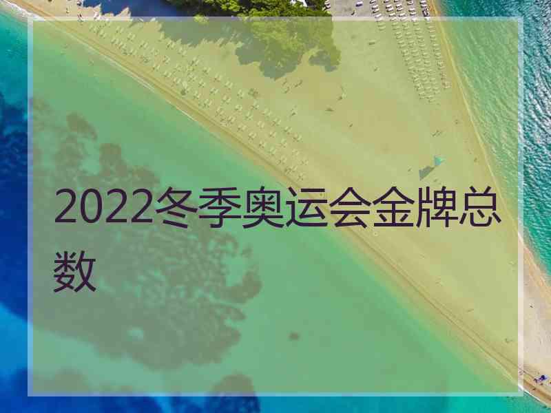 2022冬季奥运会金牌总数