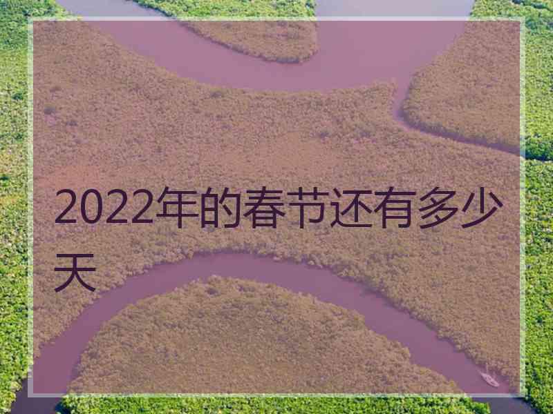 2022年的春节还有多少天