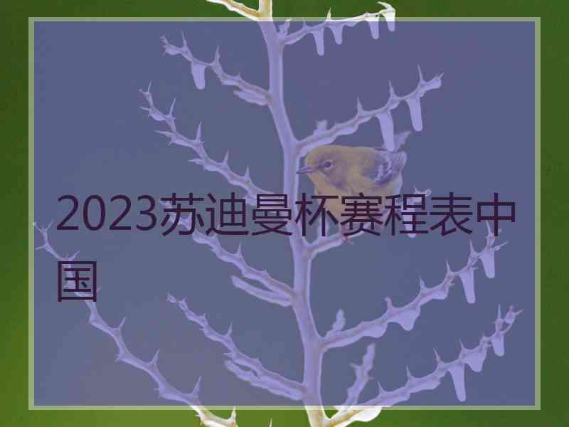 2023苏迪曼杯赛程表中国