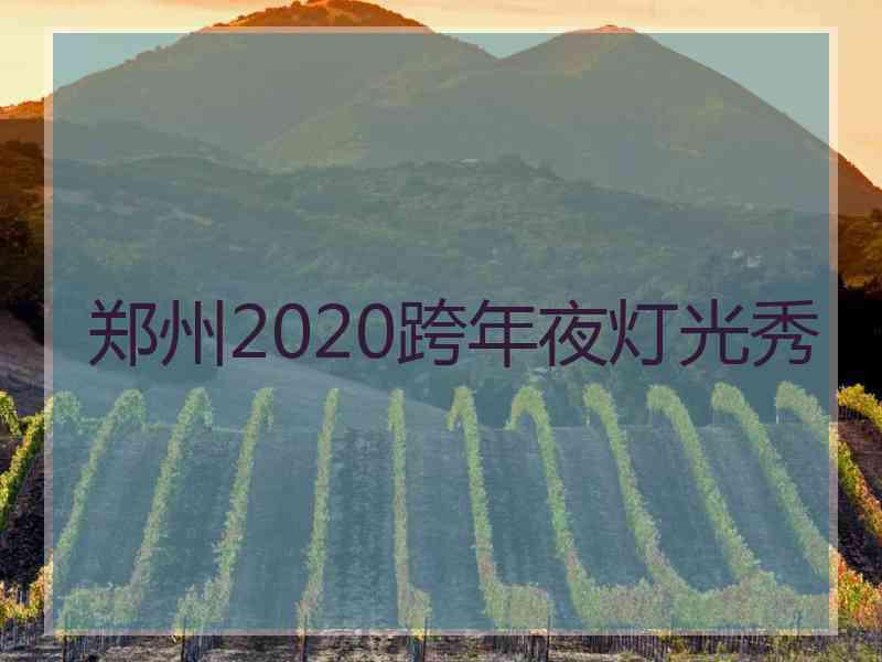 郑州2020跨年夜灯光秀