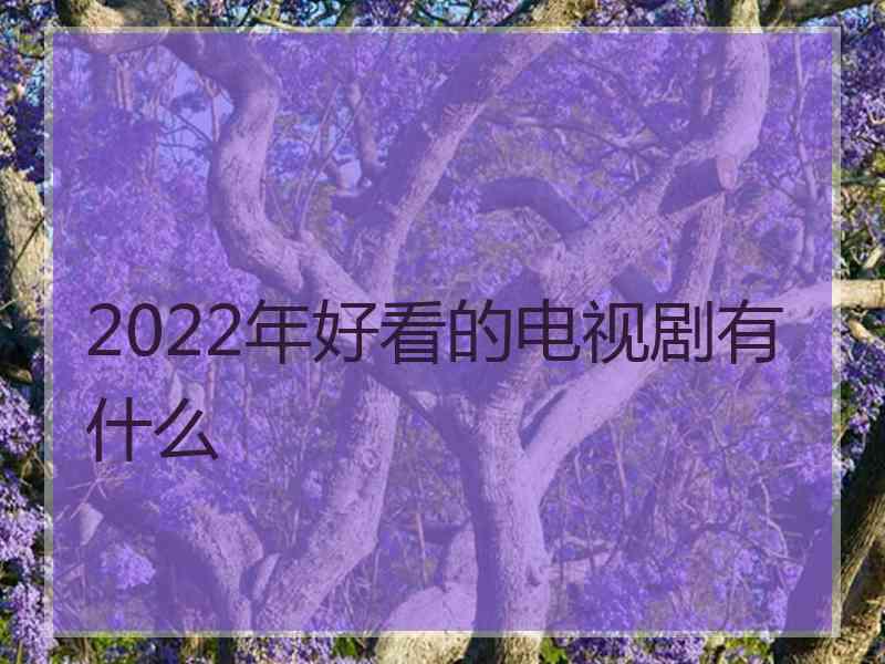 2022年好看的电视剧有什么