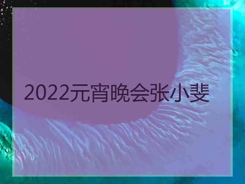 2022元宵晚会张小斐