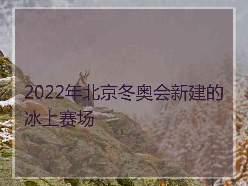 2022年北京冬奥会新建的冰上赛场