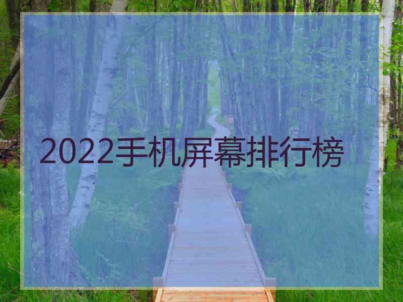 2022手机屏幕排行榜