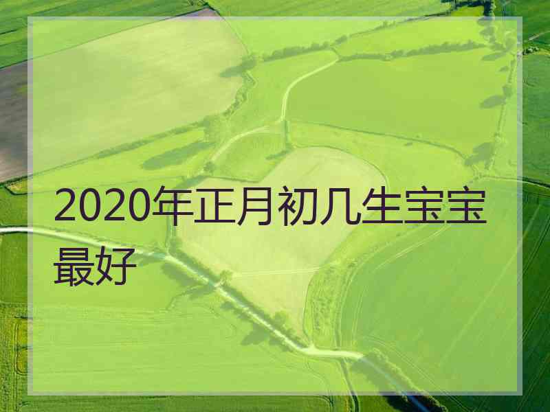 2020年正月初几生宝宝最好