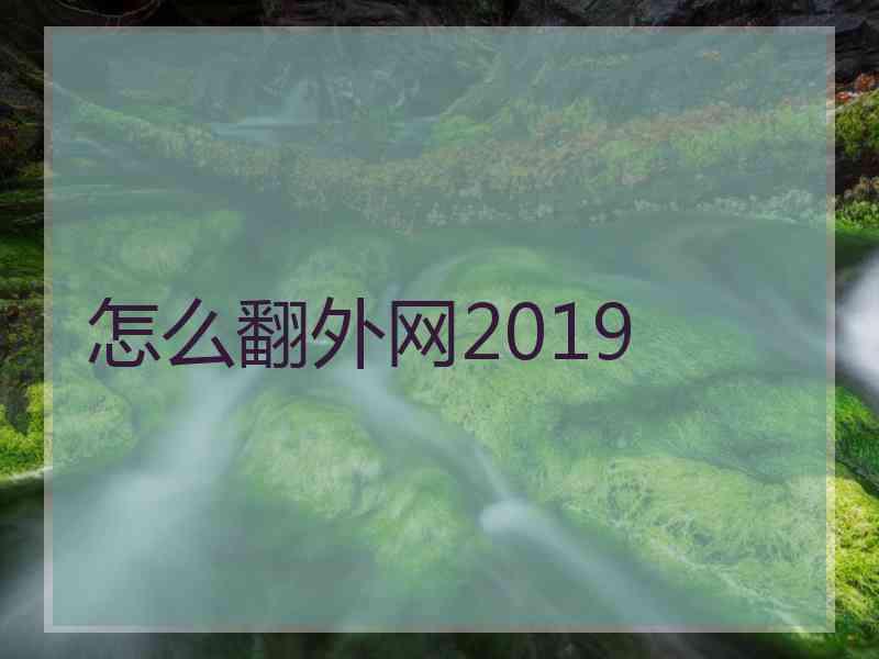 怎么翻外网2019