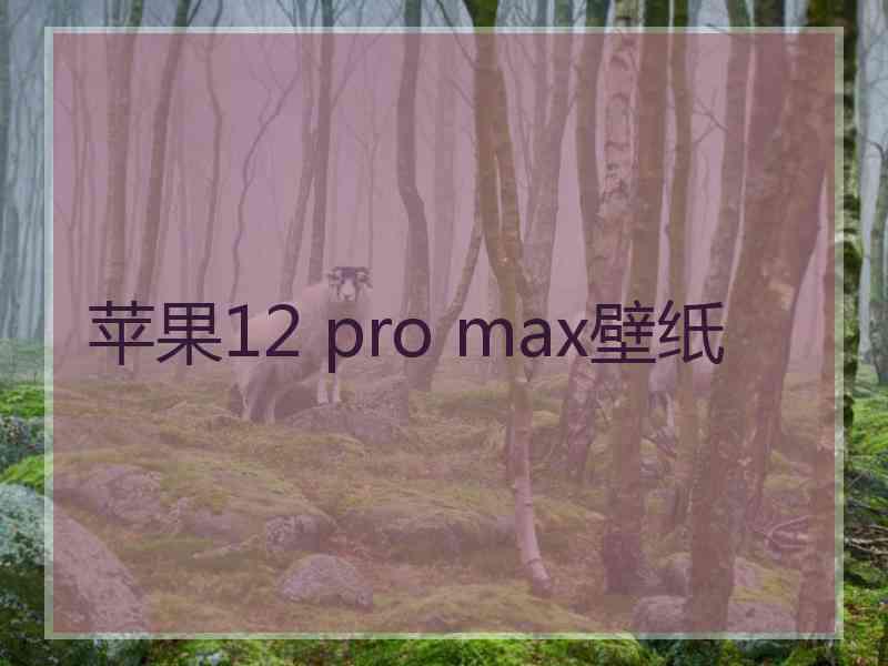 苹果12 pro max壁纸