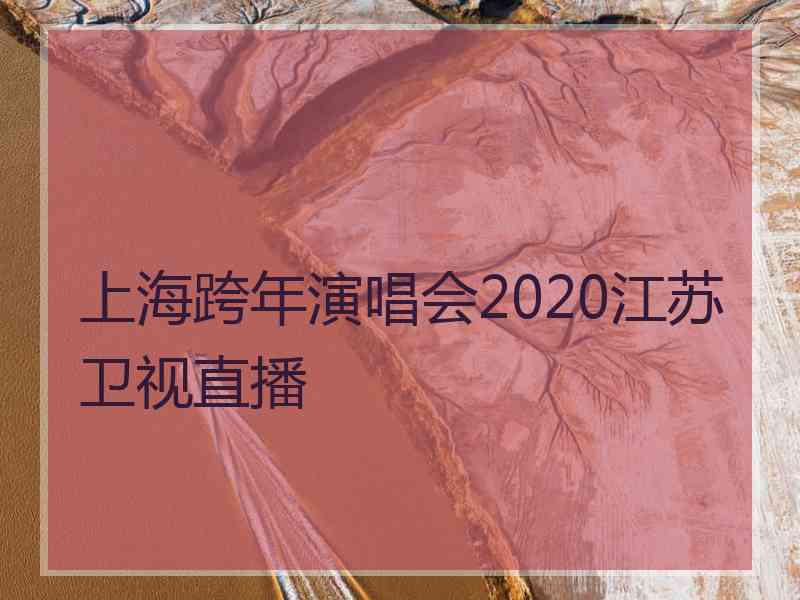 上海跨年演唱会2020江苏卫视直播