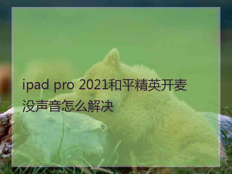 ipad pro 2021和平精英开麦没声音怎么解决