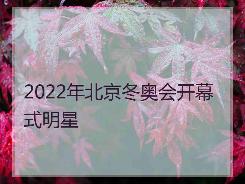 2022年北京冬奥会开幕式明星