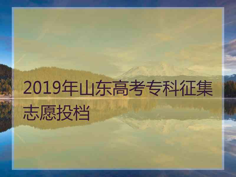 2019年山东高考专科征集志愿投档