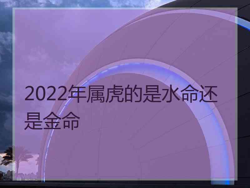 2022年属虎的是水命还是金命