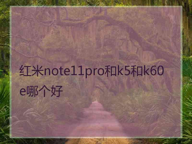 红米note11pro和k5和k60e哪个好