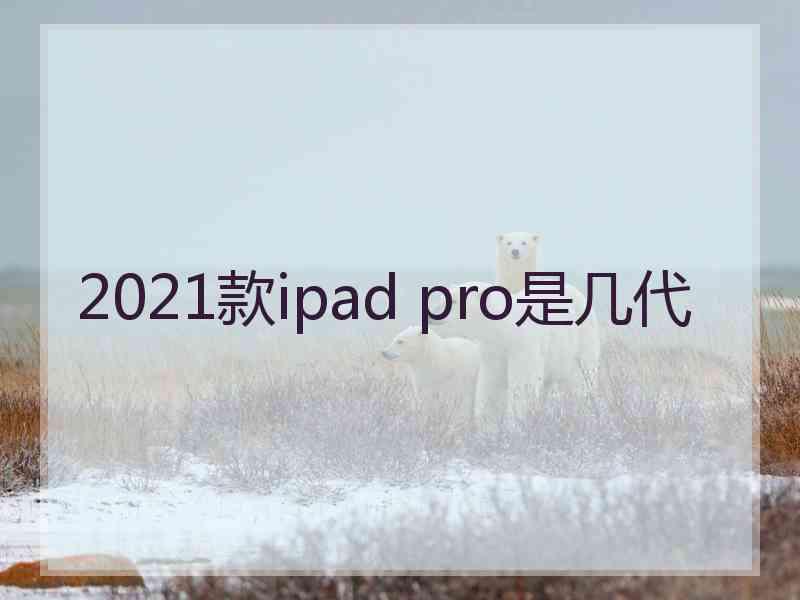 2021款ipad pro是几代