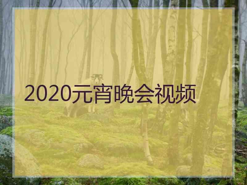 2020元宵晚会视频