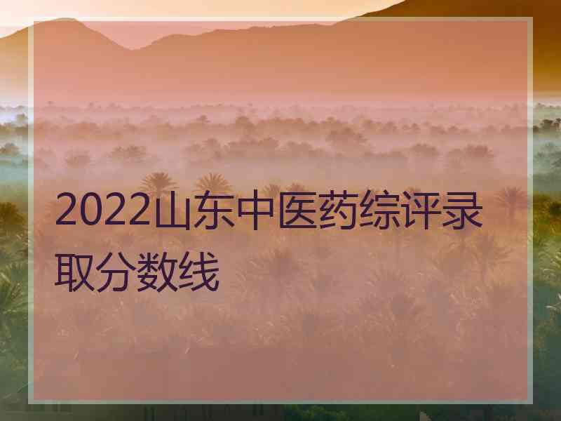 2022山东中医药综评录取分数线