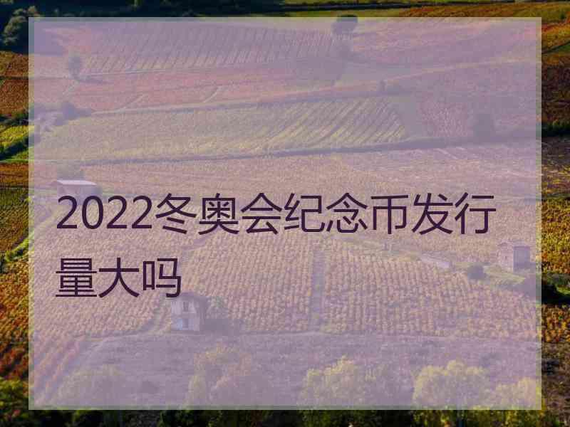 2022冬奥会纪念币发行量大吗